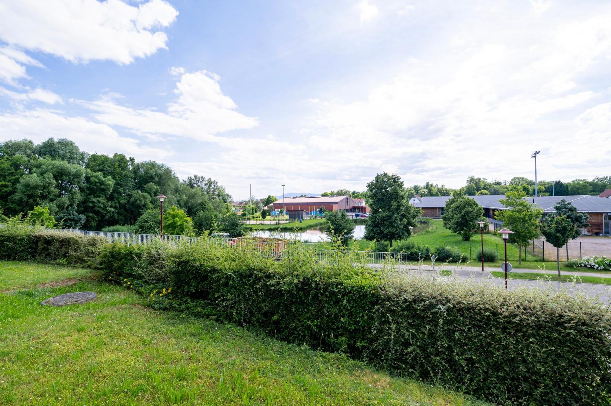 Апартаменти Chez Virgil - Terrasse Vue Degagee, Parking Prive Ernolsheim-Bruche Екстер'єр фото